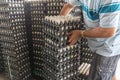 Worker life sort egg panel in wholesale market