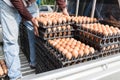 Worker life sort egg panel in wholesale market on truck Royalty Free Stock Photo