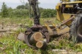 Lumber Industry Grabbing Crane Loading Timbers - Deforestation