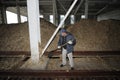 Worker loading wood chip with a shovel on conveyor for a boiler-house