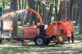 Worker looking upward in a woodland area with working wood chipping machine Royalty Free Stock Photo