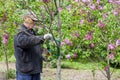 Worker in M.M. Gryshko National Botanical Garden (Kiev, Ukraine).