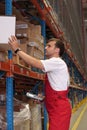 Worker maintaining stocks Royalty Free Stock Photo