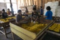 Worker makeing yellow noodles. Sumatra Royalty Free Stock Photo