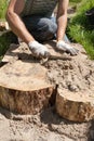 Worker making a walk path in garden decorated with wooden stumps. Royalty Free Stock Photo