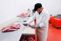 A worker in meat factory, chopped a fresh beef meat in pieces on work table, industry of processing Royalty Free Stock Photo