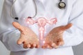 Worker of medicine shows the uterus