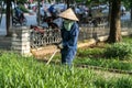 Worker mowing lawn with grass trimmer outdoors in Hanoi city, Vietnam Royalty Free Stock Photo