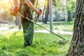 Worker mowing tall grass with electric or petrol lawn trimmer in city park or backyard. Gardening care tools and equipment. Royalty Free Stock Photo