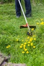 Worker mows grass and weeds with a lawn mower