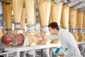 Worker operator checks mill production line of cereals, flour, millet and seeds. Food industry service concept