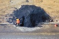 A worker in an orange uniform throws asphalt with a shovel during road works