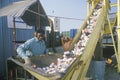 A worker overseeing aluminum cans