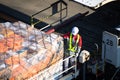 Worker is packing cargo to China Eastern Airplane Boeing in Haneda Airport HND one of main Tokyo airports, Japan