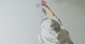 Worker painting the wall by airless spray gun with white color. Airless spray painting. Repair at home or office. Royalty Free Stock Photo