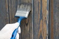 A worker painting a wooden wall. A man holding brush. A hand of worker painting wooden plank. A painter with paint brush Royalty Free Stock Photo