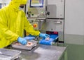 Worker paste chicken meat on conveyor belt to automatic cutting meat