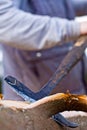 Worker Peeling Logs Outside Royalty Free Stock Photo