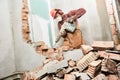 Worker with demolition hammer breaking interior wall