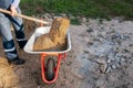 Worker pours sand into a wheelbarrow