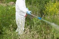 Worker in protective workwear spraying herbicide on ragweed. Hay fever concept.