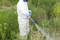 Worker in protective workwear spraying herbicide on ragweed. Hay fever concept.