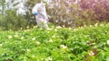 Worker in protective workwear spraying herbicide on ragweed. Non-organic vegetables. Pest control worker spraying insecticides or Royalty Free Stock Photo