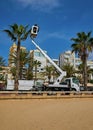 Worker pruning a palm tree with a tree saw hydraulic lift on city beach. Lloret de Mar, Spain