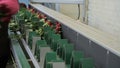 Worker is putting red rose bouquettes to the green line on modern factory.