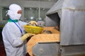 A worker is putting shrimp into a frozen machine in a processing plant in Hau Giang, a province in the Mekong delta of Vietnam Royalty Free Stock Photo