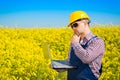 Worker in a rapeseed field doing inspection for biodiesel production Royalty Free Stock Photo