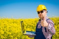 Worker in a rapeseed field doing inspection for biodiesel production Royalty Free Stock Photo