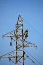 Worker repairing aerial power lines