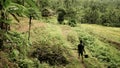 Worker in the Rice Fields