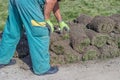 Worker with rolls of sod Royalty Free Stock Photo