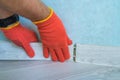 Worker`s hands Instal plastic skirting board on laminate flooring. Renovation of baseboard at home. Royalty Free Stock Photo