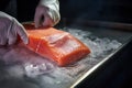 Worker\'s hands process salmon steak on ice. Chilled fish at a fish processing plant. Ice and salmon. Salmon fillets