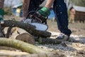 Worker sawing with a chainsaw into pieces a long trunk of a tree, farm work Royalty Free Stock Photo