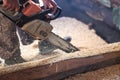 The worker saws off a log with a chainsaw Royalty Free Stock Photo