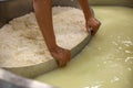 Worker separating curd from whey in tank at cheese factory