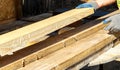 A worker shifts freshly sawn wooden planks. Preparation of building materials Royalty Free Stock Photo