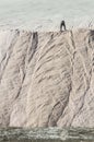 Worker shoveling bulk salt, Salinas Grandes de Hidalgo,