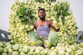 A worker is showing best fresh turnips at Savar, Dhaka, Bangladesh