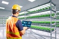 Worker in smart indoor farm system raised plants on shelves growth with led light Royalty Free Stock Photo