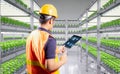 Worker in smart indoor farm system raised plants on shelves growth with led light Royalty Free Stock Photo