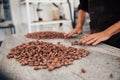 Worker sorting cocoa beans into piles on a factory table