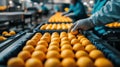 Worker sorting oranges on a production line in a fruit processing factory