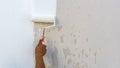 Worker spends roller paint on the wall