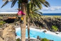 A worker taking care of a palm tree on heights, Lanzarote, Spain