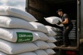 Worker unloading labeled CBAM sack with CO2e compliance mark, verifying environmental documentation for international shipping Royalty Free Stock Photo